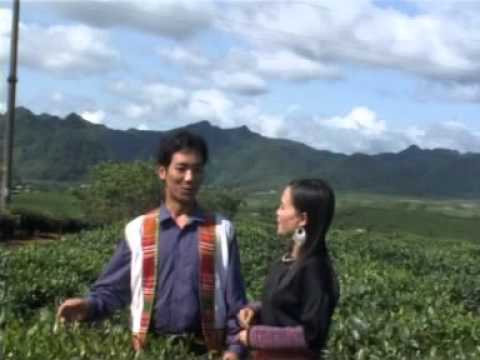 Video: Cỏ lông - cỏ thảo nguyên