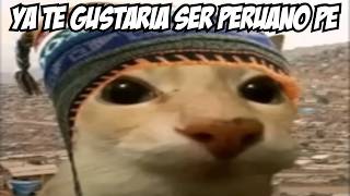 Shitposting Compilation V6