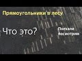 Странные прямоугольники на карте, поехали посмотрим