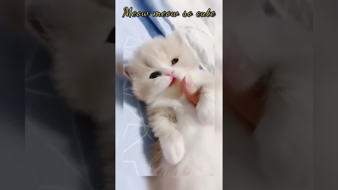 Omg such a cutiee 💖 