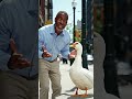 Arguing with duck 🦆 😂#duck