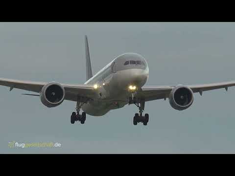 4K Mitglieder Bonus: Qatar 787 Dreamliner im Abendlicht - Videoqualität immer besser!