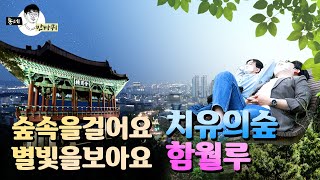 봄과 빛이 나를 감싸네 (치유의숲&함월루)ㅣ동네반바퀴 ep.11ㅣ성안동 편