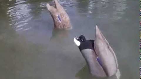 Convert Your Feeder Decoys Into Fuzzybutt Motion Decoys