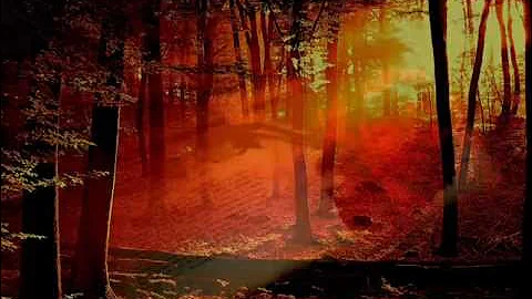 The Gathering *When The Sun Hits (Slowdive Cover)* (HQ)