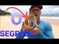 PESCARIA COM LINHA DE MÃO/APRENDA A FAZER SUA LINHA DE MÃO PARA PESCA DE PRAIA.