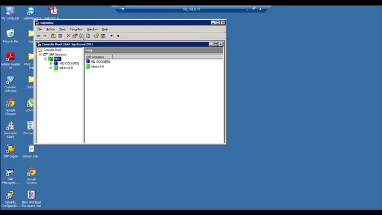 Sap Basis - How To Activate A New Logon Language On Sap