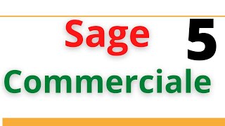 Sage Commerciale 100 : Etablir une facture d'avoir شرح سهل جدااا screenshot 3
