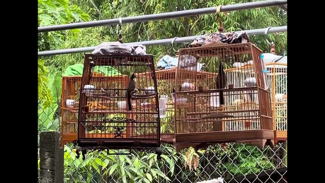 ngày 2 tháng 11, 2025