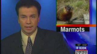 County Employees Shooting Marmots In Island Park