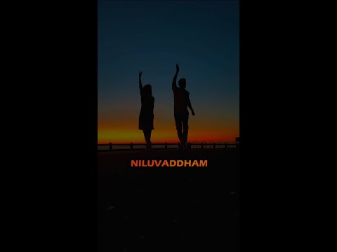 Niluvaddam, Nuvvostanante Nenoddantana @ California | Dinesh | Nikhita | 4K