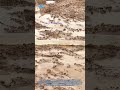 Une astuce d'irrigation simple qui attire les poissons tout en arrosant vos champs