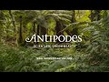 Antipodes brand story 2022