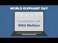 The Elephant Sanctuary | World Elephant Day Conversation with Wild Welfare