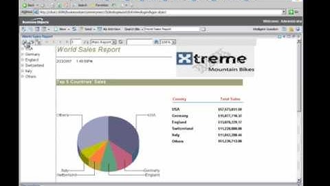 SAP Business Objects BI demo