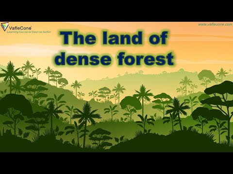 Video: What is a dense forest?