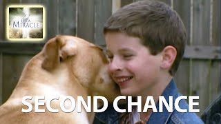 Segunda Chance - É um Milagre
