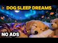 12 HOURS of Dog Calming Music🦮💖Dog Relax Music🐶🎵Separation Anxiety Relief Music⭐ Dog TV