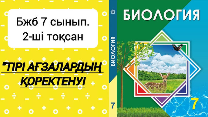 Тамаша жопы бар балапан жігітінің бетіне отырады, ол оны трахает етеді