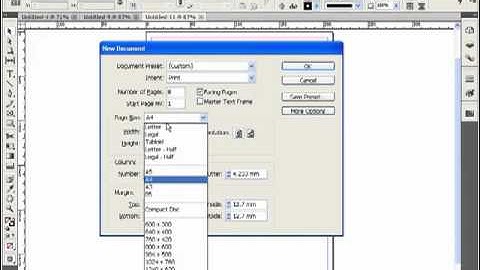Adobe Indesign Video Tutorials in Hindi - Creating a Document Part-2 LSOIT.COM