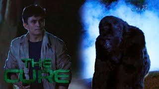 the cure delubyo sa loob ng wildlife reserve