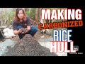 HOW TO MAKE A CARBONIZED RICE HULL(CRH)// EASY WAY AT HOME