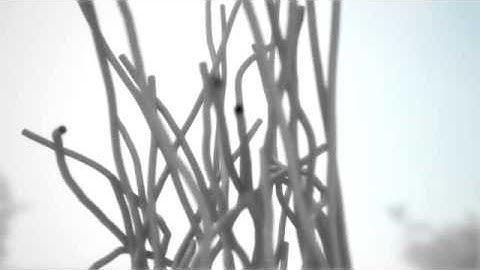 Point Cloud To Multi Curve of maya SOuP