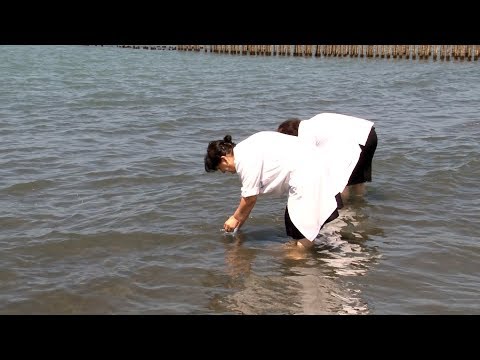 ფოთის სანაპიროზე ზღვის სინჯები აიღეს 12 06 18