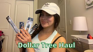 Dollar Tree Haul / life & updates 