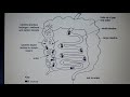 Enzyme Function and Activity Quiz