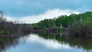 Новое озеро?Что там? Рыбалка на микроджиг в пруду. Ловим окуня на ультралайт 2023