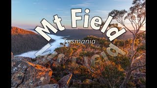 Mount Field Tasmania