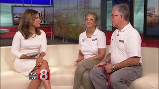 Dogs Fear Of Thunderstorms