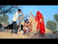 जंवाई की कल्ड ।। मारवाड़ी हरियाणवी कॉमेडी ।। Rajasthani comedy video