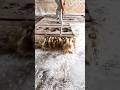 asmr scraping #asmr #satisfying