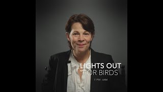 Lili Taylor - Lights Out for Birds