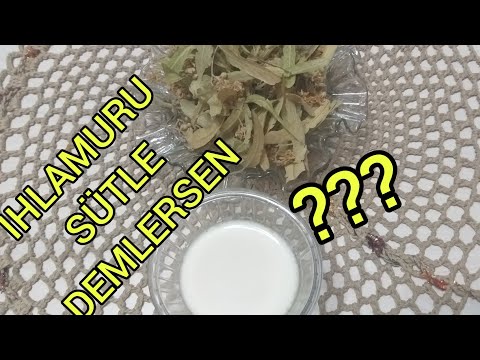 Video: Limonlu Yer Mantarı Nasıl Yapılır