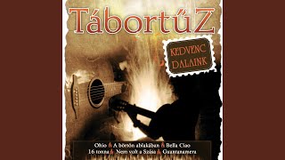 Video thumbnail of "Tábortüz - Törd a kerítést"