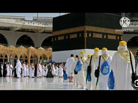 تفسير رؤية الحرم المكي والصلاة فيها من أجمل الرؤي