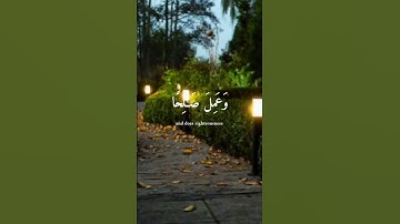 راحة نفسية آيات من سورة طه