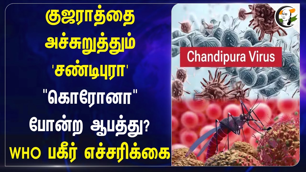 Gujaratதை அச்சுறுத்தும் Chandipura virus | UNO Report on Chandipura virus Outbreak