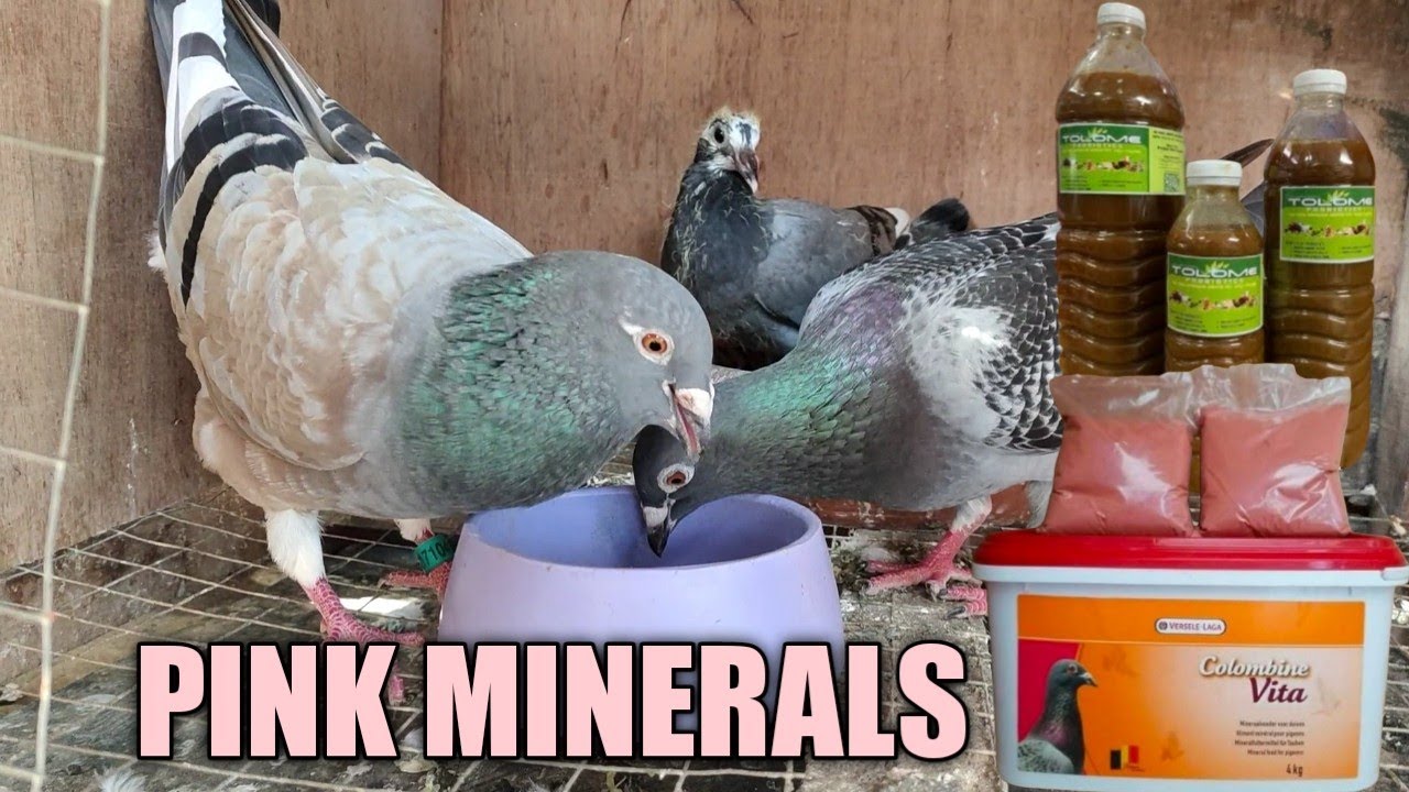 TAMANG PAG GAMIT NG PINK MINERALS / 2 WAYS
