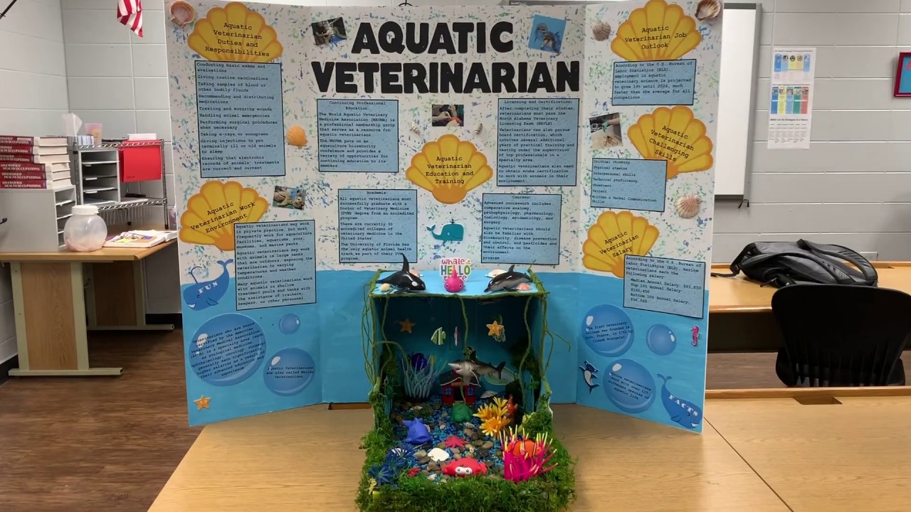 Marshall Technical School HOSA Health Career Display YouTube