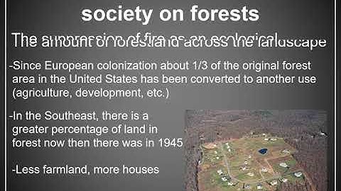 Lecture 10 Forest Management and Stewardship Part 1 Video