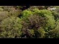DJI Mavic Air: Early Morning Woodland Flight