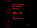 Speaking dog facts until @MrBeast comments #dogsrule #catsdrool #dogsrule #dogsrule