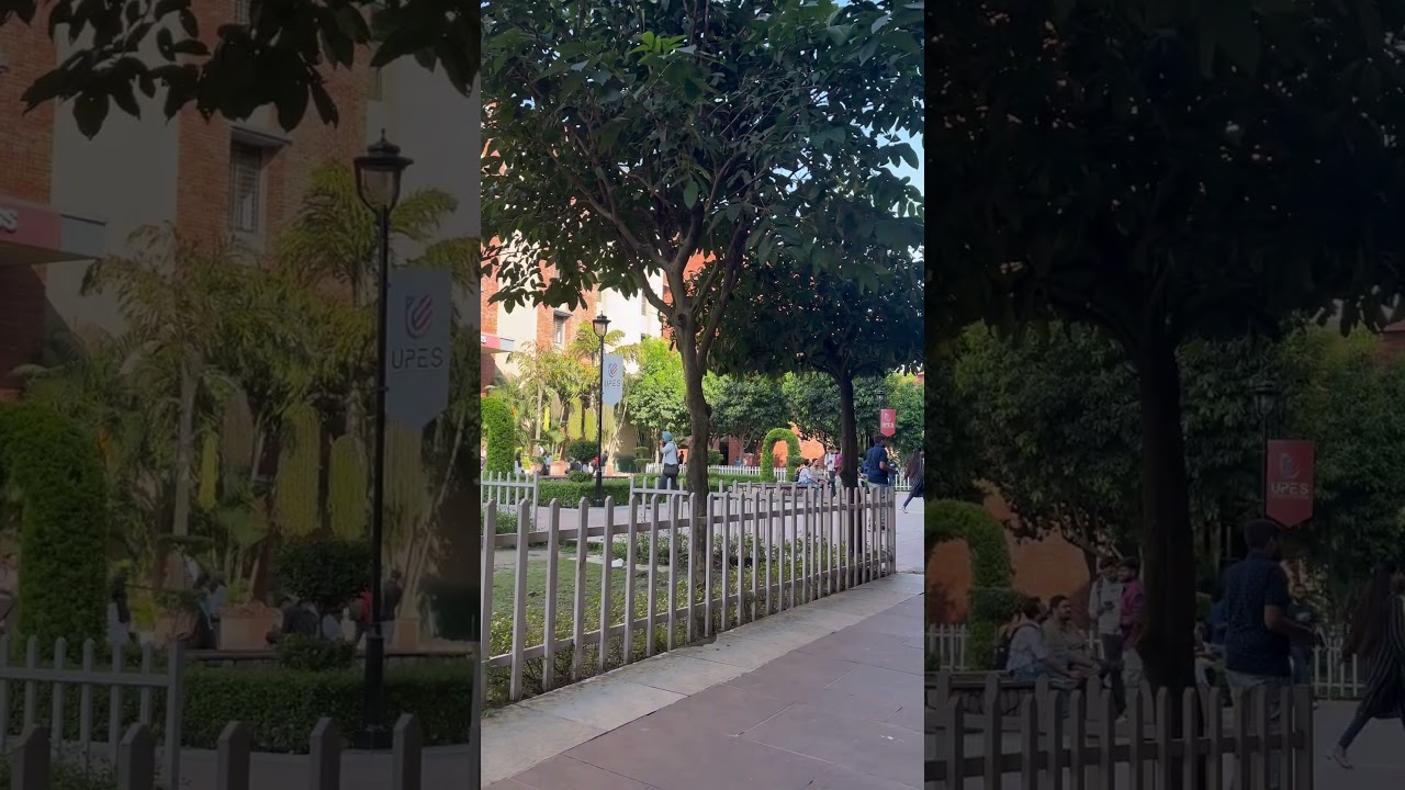 # Upes life ☘️🫶🌝