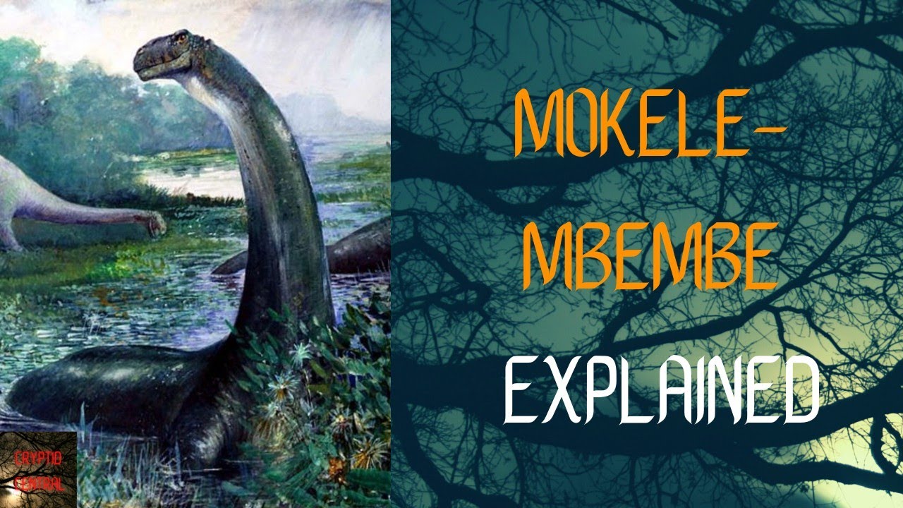 Drums along the Congo: On the Trail of Mokele-Mbembe, the Last Living  Dinosaur