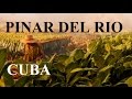 Cuba - Pinar del Rio ( Viñales Valley,Cigar Industry)  Part 13