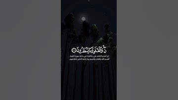 ن والقلم وما يسطرون #سالم_الرويلي #follow #fyp #foryou #facts #تلاوات #قرآن #حالات #حالات_واتس